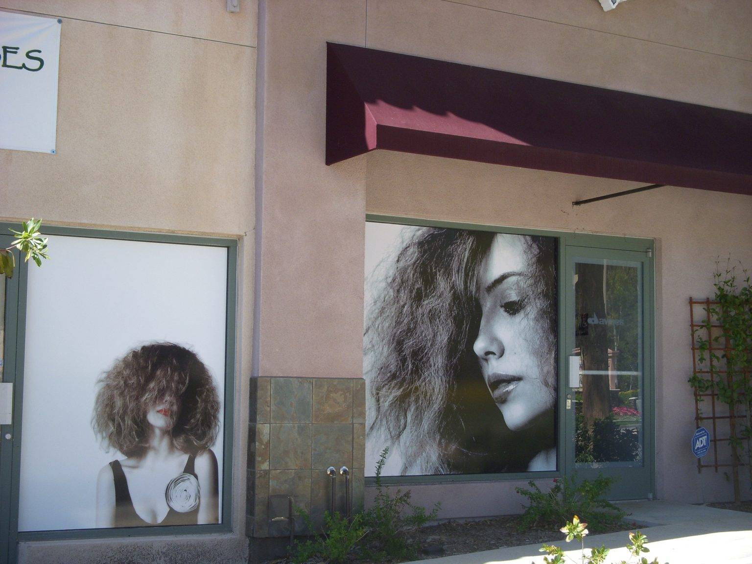 Hair Salon Window Graphics